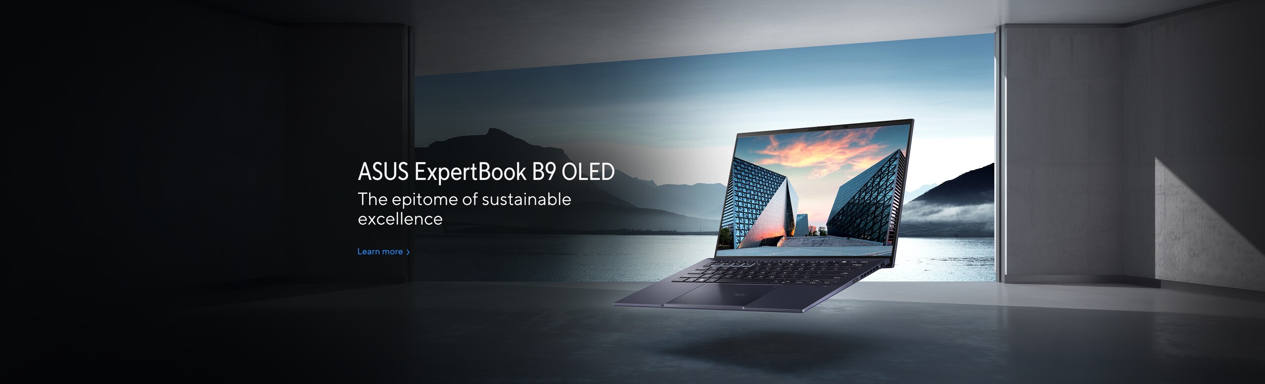ASUS ExpertBook