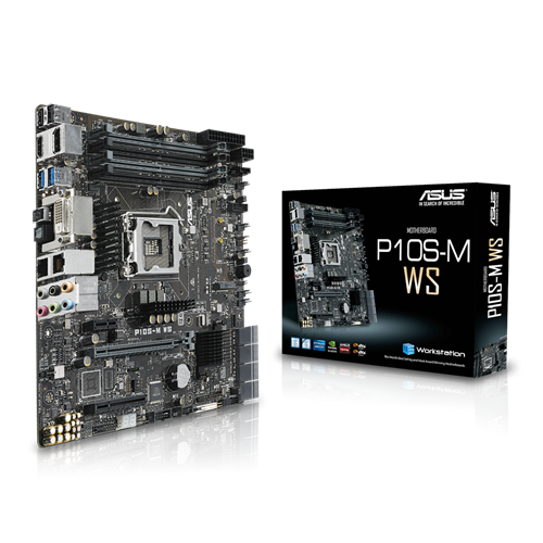 P10S-M WS