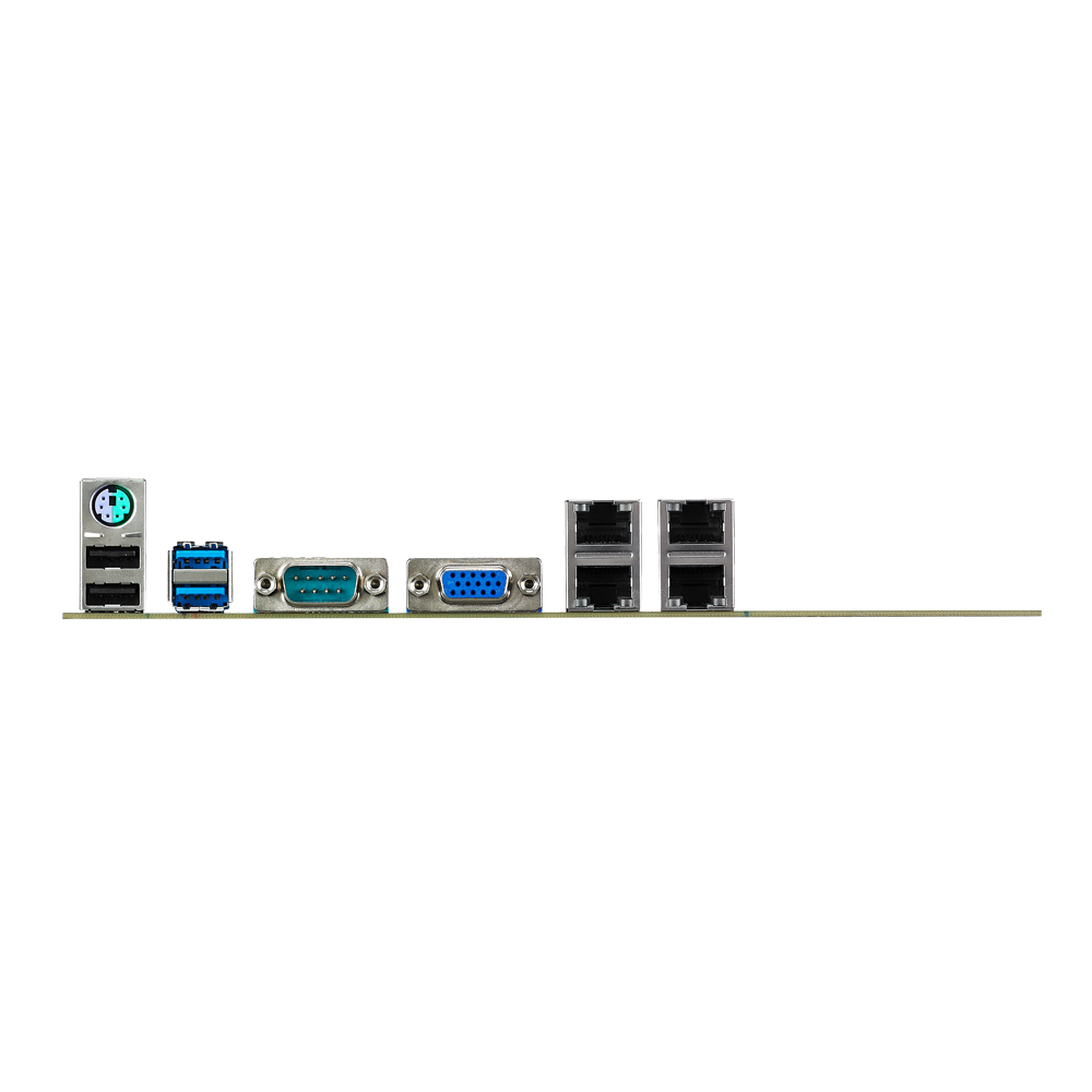 P10S-V/4L