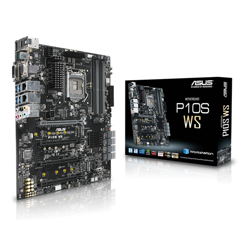 P10S WS